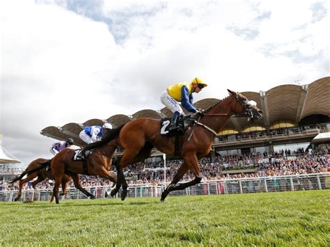 betting on glorious goodwood,goodwood betting site